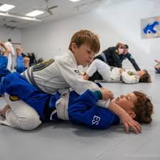 Image result for Judo Excellence