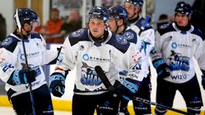 Image result for Leeds Sharks