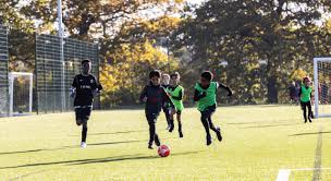 Image result for St Albans Ultimate