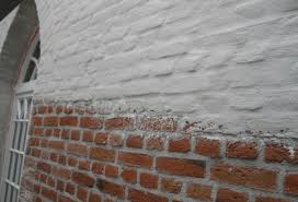 Image result for kaleien