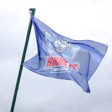 Image result for Rochdale Hornets