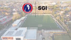 Image result for Dorking Wanderers F C