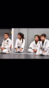 Image result for Mushin Kempo Jiu Jitsu Club