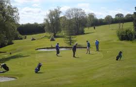 Image result for Chulmleigh & Mid Devon Cricket Club