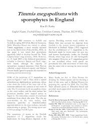 Attēlu rezultāti vaicājumam “Timmia megapolitana”