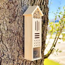 Image result for ladybug house