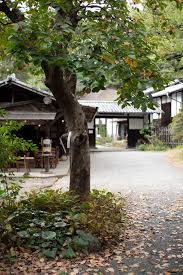 「柿の木利江」の画像検索結果