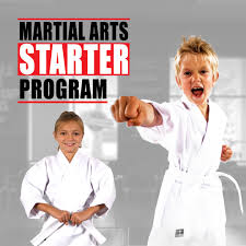 Image result for Kees Tae Kwon Do