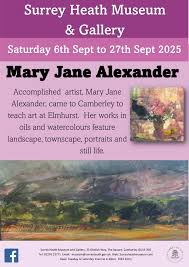 Image result for Surrey Heath Slammers