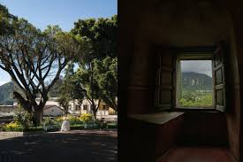 Kuvahaun tulos haulle tepoztla