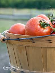 Afbeeldingsresultaat voor cabin tomato