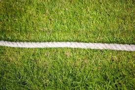 Image result for Thurstonland Cricket Club