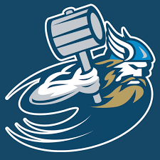 Image result for Sussex Thunder