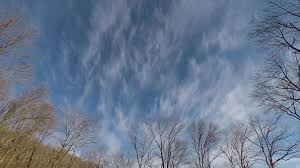 Attēlu rezultāti vaicājumam “Cirrus fibratus”