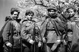 Attēlu rezultāti vaicājumam “Lycogala asperum young”