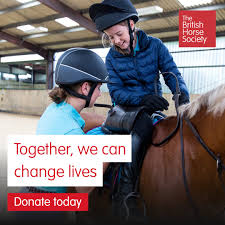 Image result for British Horse Society