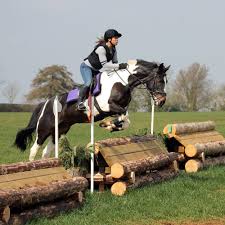 Image result for Weybridge Equestrian Centre