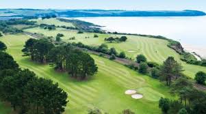 Image result for Falmouth and Helston Octopush Club