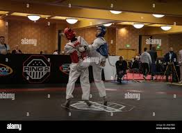 Image result for Taekwondo Athletes Program USA