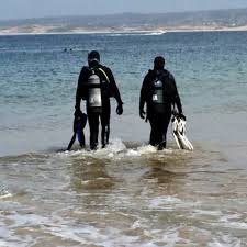 Image result for Breakwater Divers
