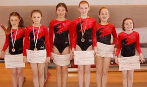 Image result for Appley Bridge Gymnastics Club