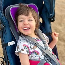 Image result for BRIO Go Stroller System Gwen Stefani