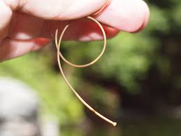 Attēlu rezultāti vaicājumam “Nematomorpha”