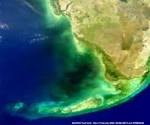 APOD: 2002 April 2 - Mysterious Black Water in Florida Bay