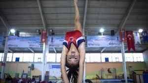 Image result for West Lothian Artistic Gymnastic Club