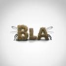 bla pronunciation