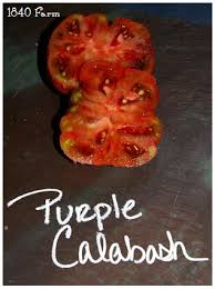 Afbeeldingsresultaat voor purple calabash tomato