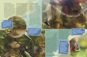 Image result for Prestatyn Piranhas