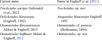 Attēlu rezultāti vaicājumam “Ommatoiulus vilnensis”