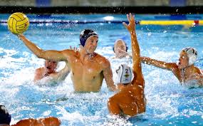 Image result for Frome Waterpolo Club