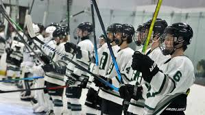 Image result for Tenbury Hockey Club