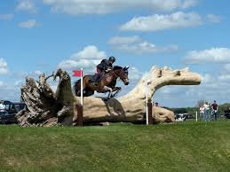 Image result for Cotswold Badminton Club