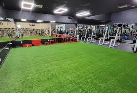 Image result for Arrow Vale Gym Club