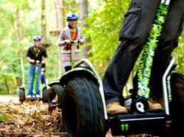 Image result for Go Ape! Moors Valley