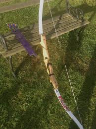 Image result for Burntwood Archers