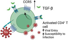 Image result for egedal tehron