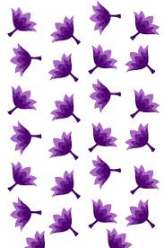 Attēlu rezultāti vaicājumam “Aubrieta deltoidea leaf”