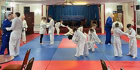 Image result for Ashby Ivanhoe Judo Club