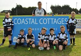 Image result for Pembroke Dock Harlequins RFC