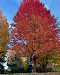 Image result for $$fall_akte__ort$$