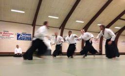 Image result for London Aikido Club