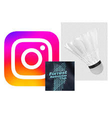 Image result for Felliscliffe Badminton Club