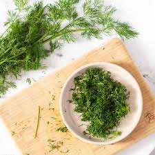 Image result for Dill