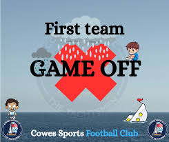 Image result for Cowes Sports Football Club