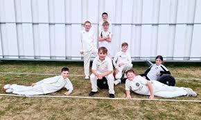 Image result for Bradenham Cricket Club
