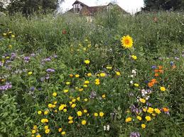 Image result for Stourbridge HF Rambling Club